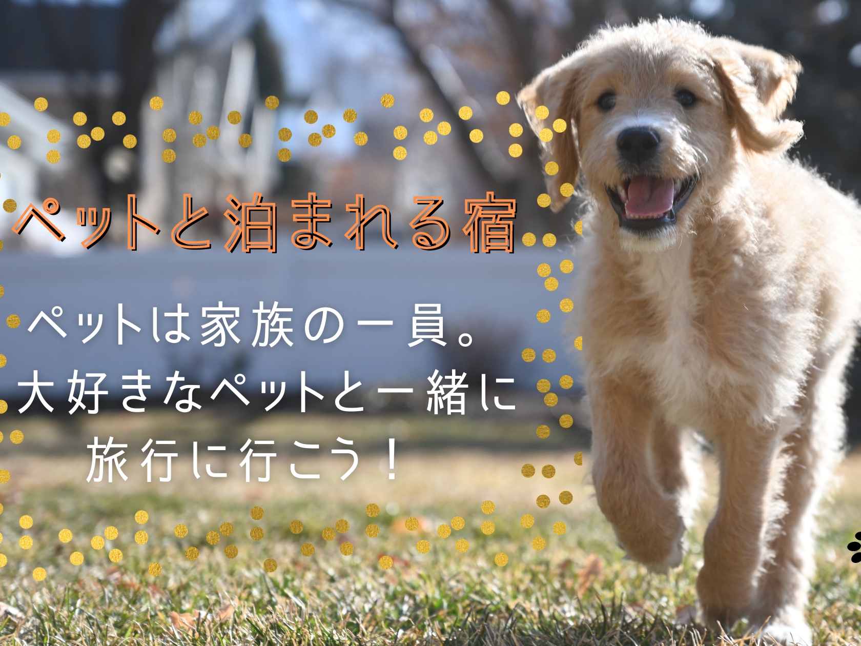 ペットと泊まれる宿